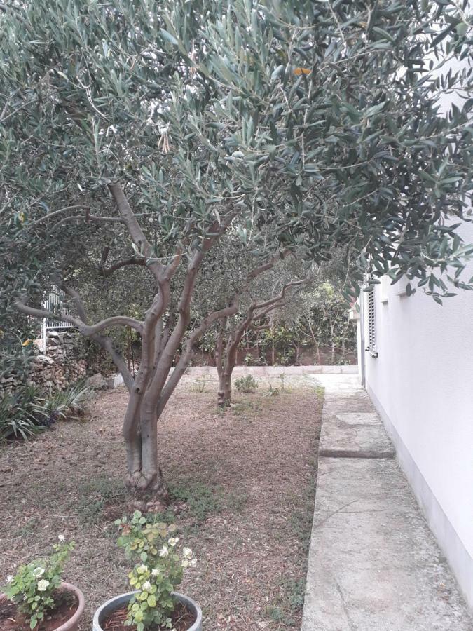 Apartments Boljat Trogir Exterior foto